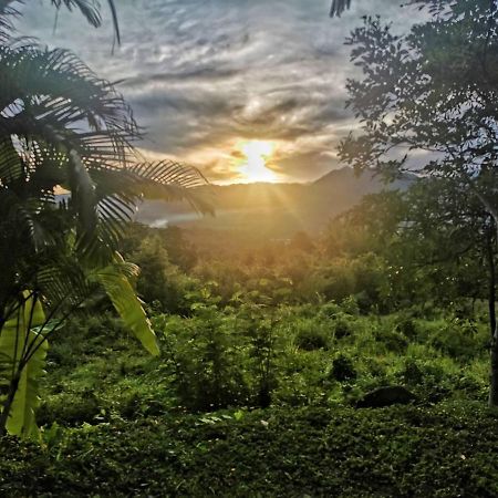 The Lookout Pai Hotel Bagian luar foto