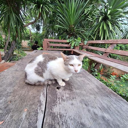 The Lookout Pai Hotel Bagian luar foto