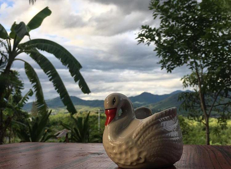 The Lookout Pai Hotel Bagian luar foto